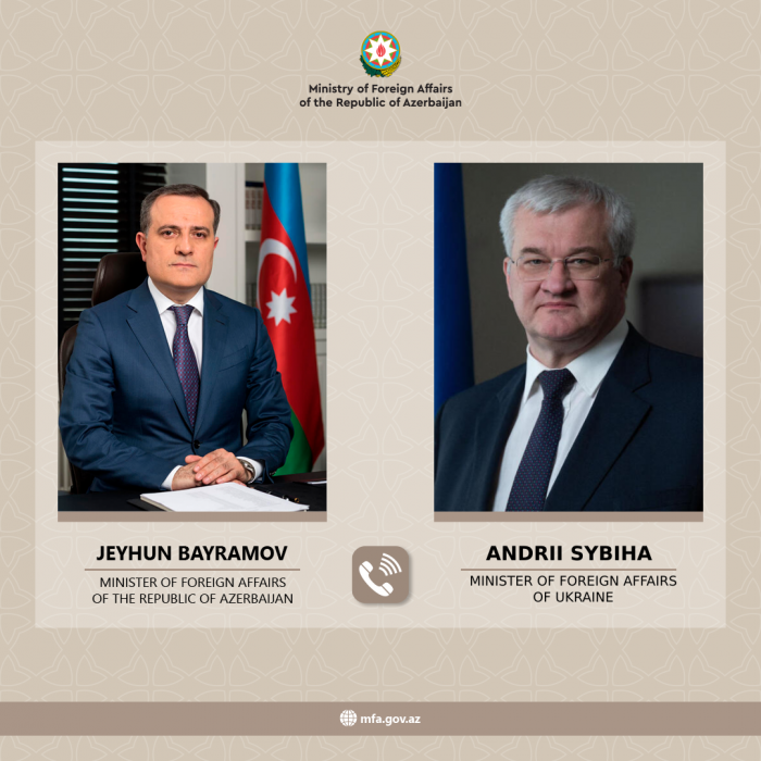   Azerbaijani, Ukrainian FMs discuss international security issues  