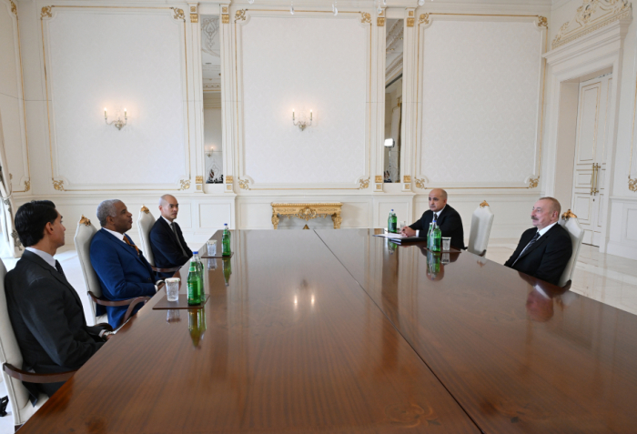  President Ilham Aliyev receives Vista Equity Partners CEO 