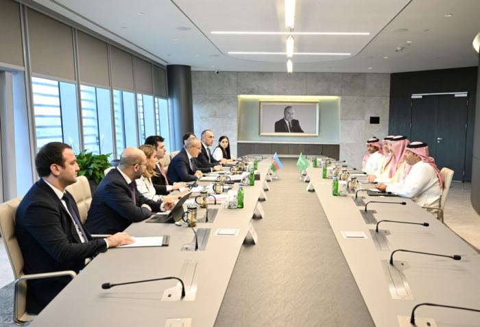 Azerbaijan, Saudi Arabia discuss ways to step up investment cooperation