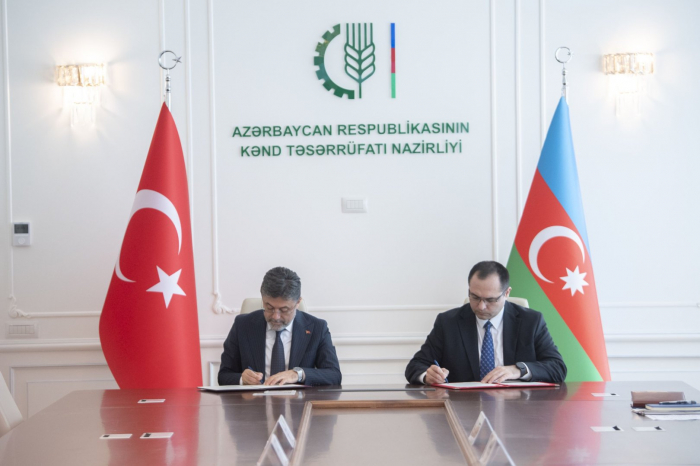 Azerbaijan, Türkiye sign document on livestock cooperation