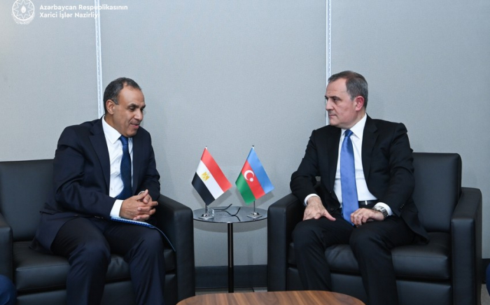 FMs of Azerbaijan, Egypt discuss bilateral co-op