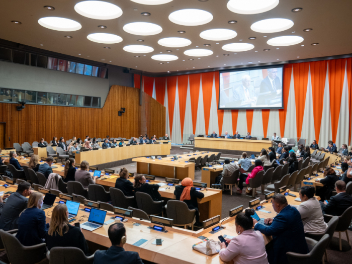 COP29 Presidency convenes conference on Multilateral Approaches to Adaptation in New York