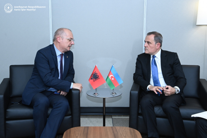 Azerbaijan, Albania discuss bilateral and multilateral cooperation