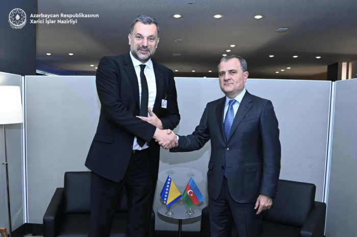 Azerbaijan, Bosnia and Herzegovina discuss strategic partnership