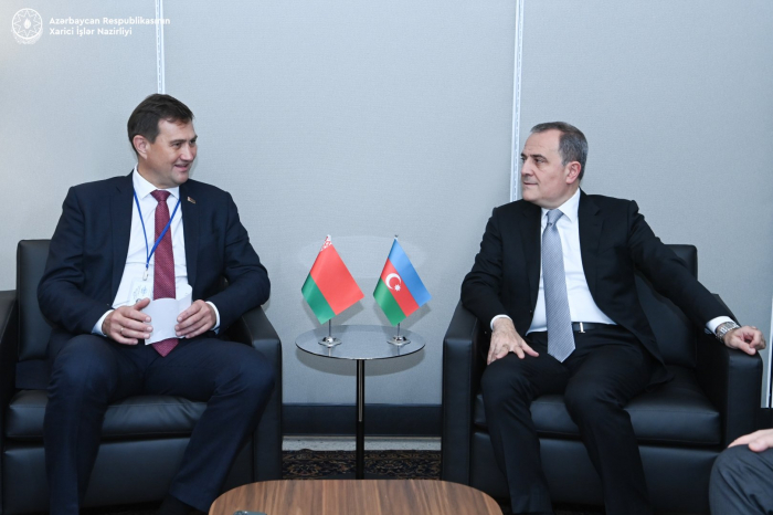   Azerbaijan, Belarus FMs discuss aspects of strategic partnership relations  