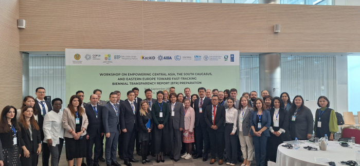 Astana hosts workshop as part of preparations for COP29