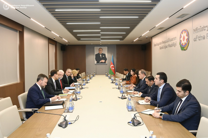   Azerbaijan’s FM discusses normalization process with US Deputy Assistant Secretary  