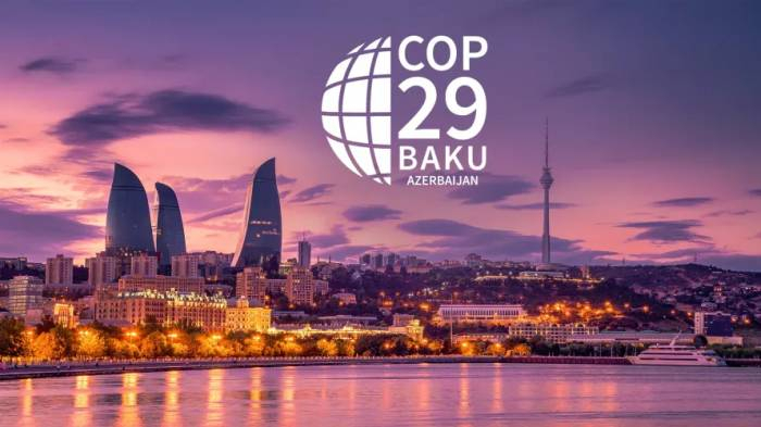   COP29 : les cartes d