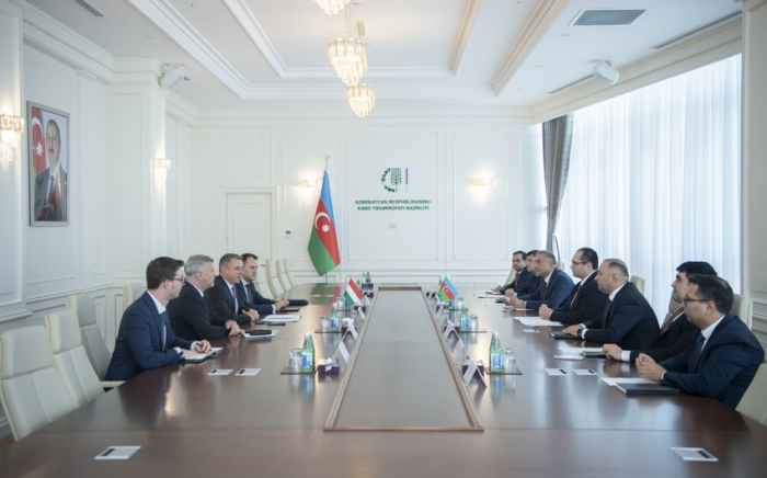 Azerbaijan, Hungary discuss cooperation in agricultural sector