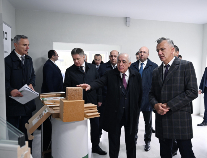 El Primer Ministro de Azerbaiyán visitó el barrio de la urbanización de baja altura Novaya Okolitsa en Minsk