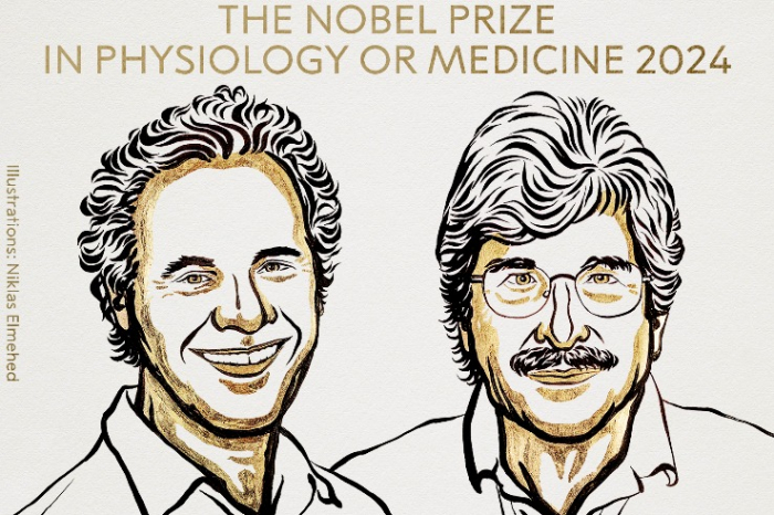 Nobel prize for medicine goes to U.S. scientists Ambros and Ruvkun