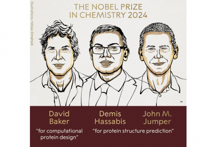 Trio win 2024 Nobel Prize in chemistry