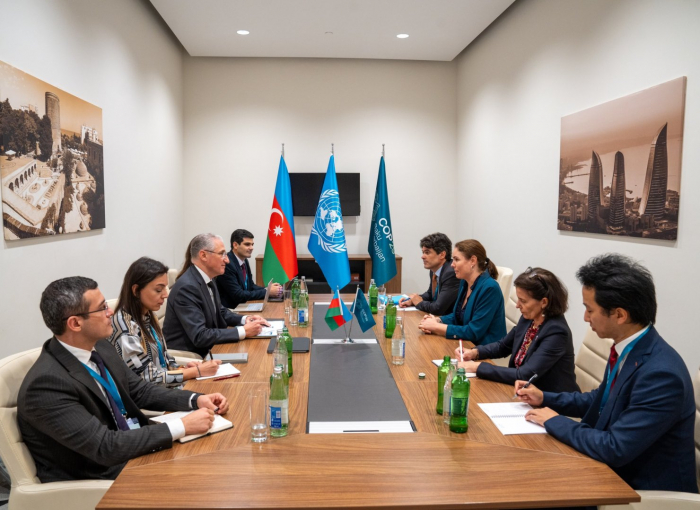 Azerbaijani ecology minister views COP29 action plan with French counterpart