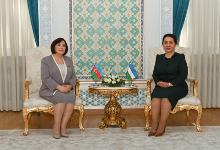 Speaker of Milli Majlis meets with Chairperson of Senate of Oliy Majlis of Uzbekistan