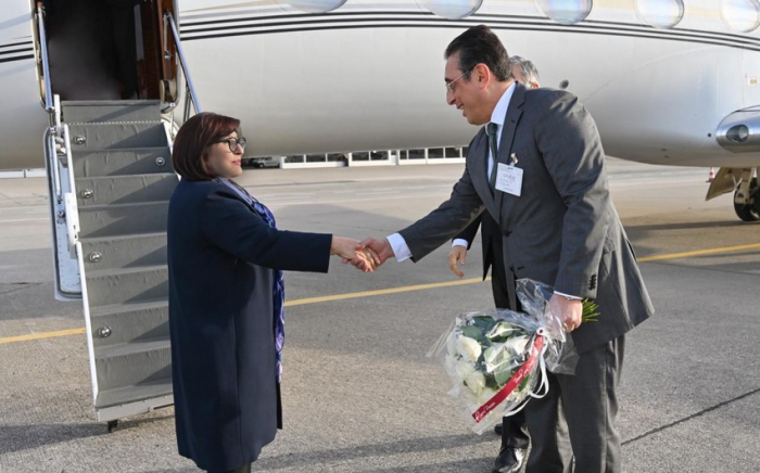   Speaker of Azerbaijani Parliament arrives in Switzerland on working visit  