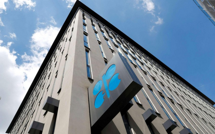 OPEC cuts 2024 oil demand growth forecast by 100,000 bpd