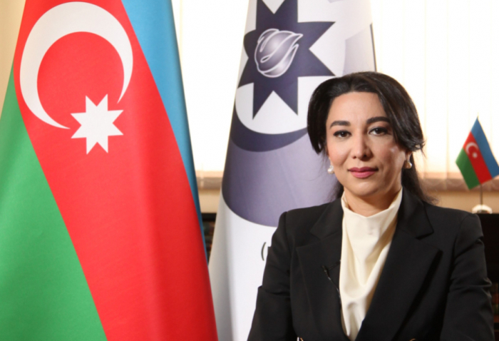  Defensora del Pueblo de Azerbaiyán: "La comunidad internacional debe protestar contra el terror de las minas armenias" 