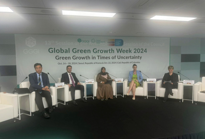 Road to COP29 panel discussion organized in Seoul