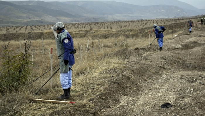 Azerbaijan continues demining operations in its liberated lands