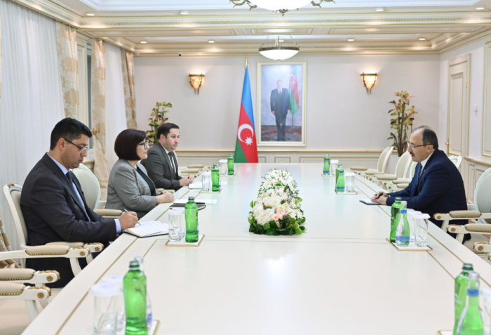 Ambassador Cahit Bagci: Milli Majlis makes significant contributions to bolstering Turkish-Azerbaijani relations