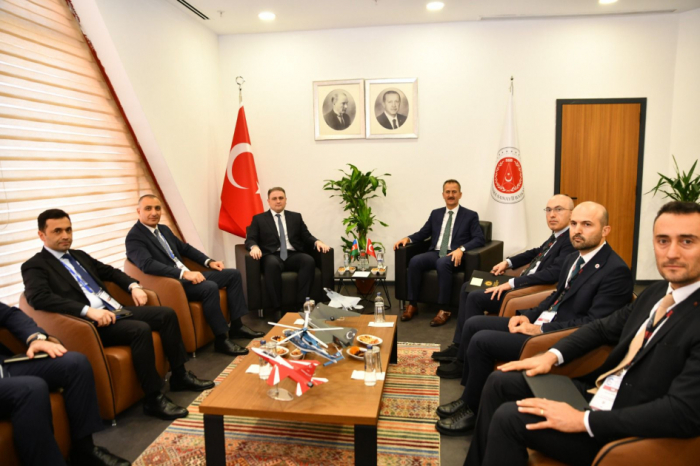 Azerbaijan, Türkiye explore cooperation in defense industry