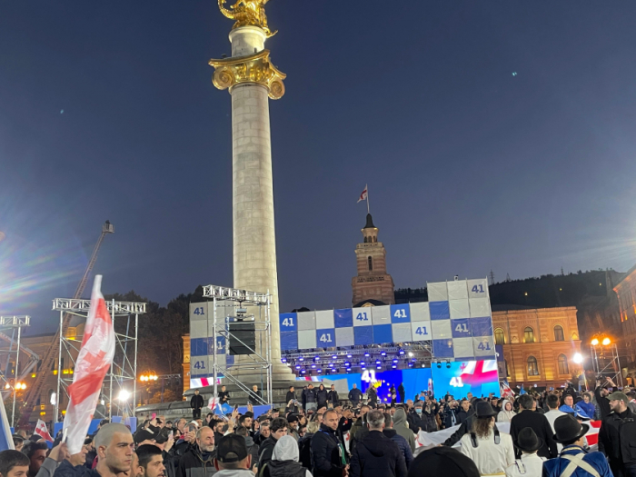    Hakim “Gürcü Arzusu-Demokratik Gürcüstan” partiyası Tbilisidə aksiya keçirib -    FOTOLAR     
   