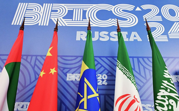   13 countries granted BRICS partner status  