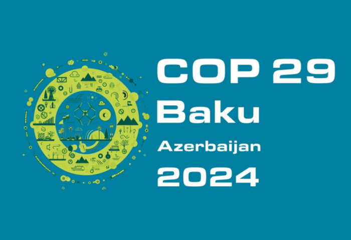 Pakistan’s Institute of Regional Studies to host Pre-COP 29 panel discussion