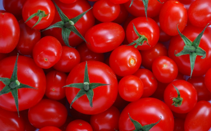   Aserbaidschans Gewinn aus dem Tomatenexport stieg um mehr als 12 %  