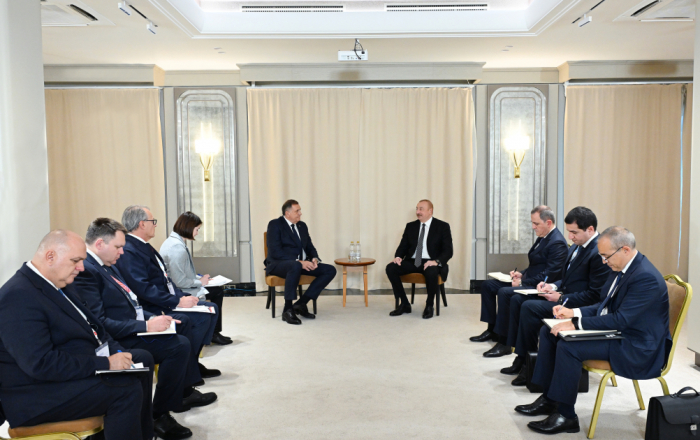 Azerbaijani President meets with President of Republic of Srpska of Bosnia and Herzegovina in Kazan