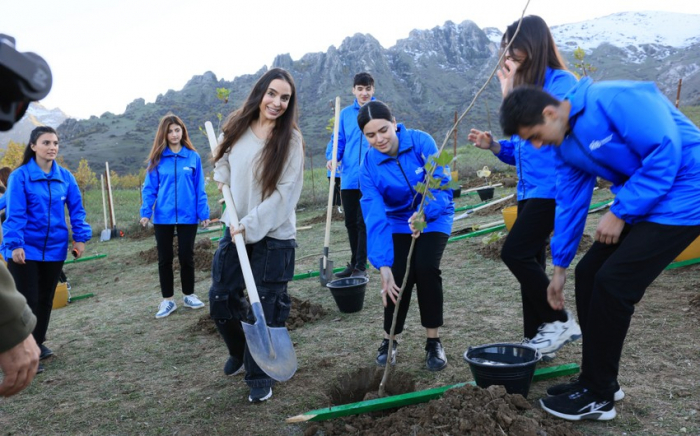    Leyla Əliyeva Lerikdə ağacəkmə aksiyasında   