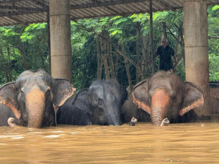 Thaïlande : une centaine d