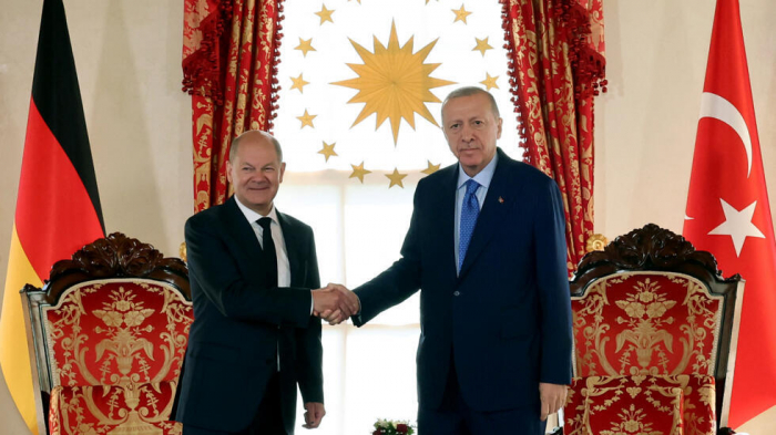 Türkiye eyes cooperation with Germany on defense procurements- President Erdogan