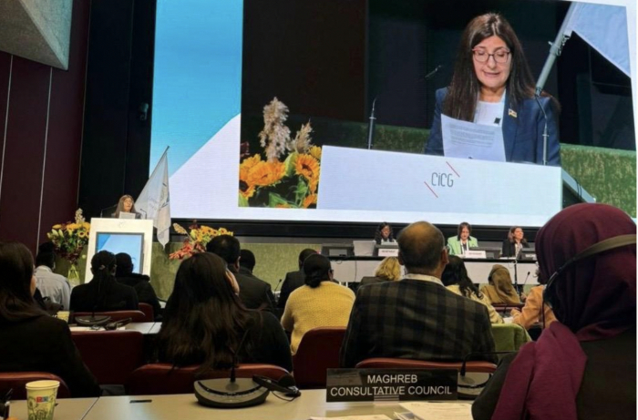 Azerbaijani MP delivers report at IPU 149th Assembly in Geneva