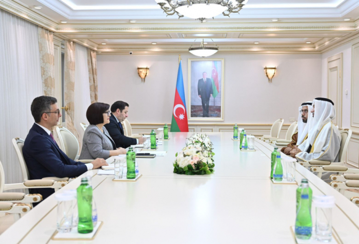 Speaker of Azerbaijan’s Parliament meets with President of Global Council for Tolerance and Peace