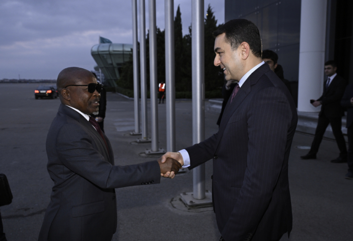 Vice President of Malawi arrives in Azerbaijan