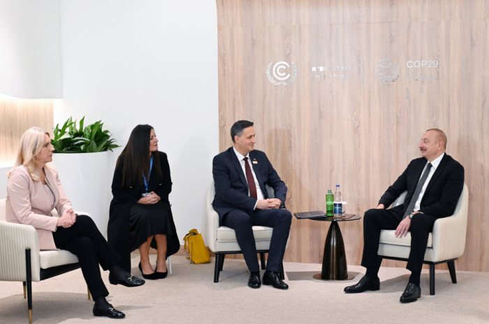 President Ilham Aliyev meets with Chairman and member of Presidency of Bosnia and Herzegovina