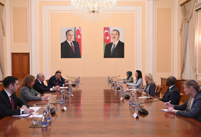 Prime Minister Ali Asadov meets with UNICEF Executive Director