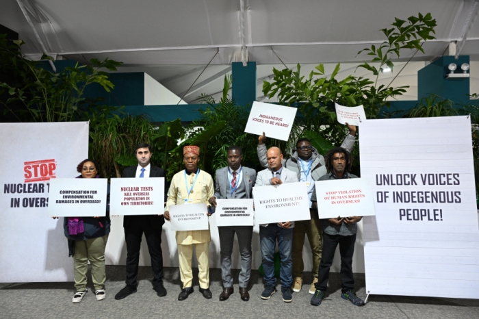 Representatives of colonial territories stage protest in COP29 Blue Zone 