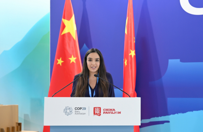 Vice-President of Heydar Aliyev Foundation Leyla Aliyeva participates in panel discussion at China pavilion