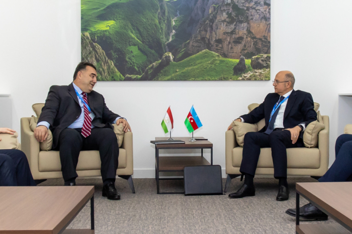 Azerbaijan’s energy minister holds several meetings on sidelines of COP29