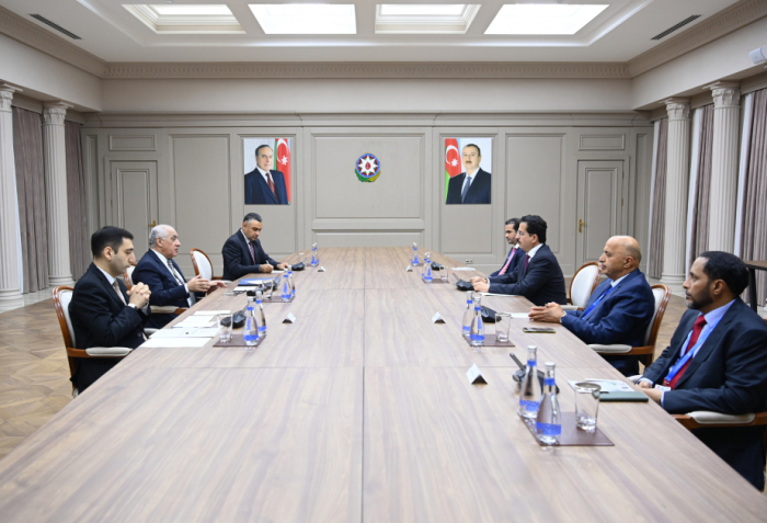 Azerbaijan’s PM meets with Chairman of World Green Economy Organization