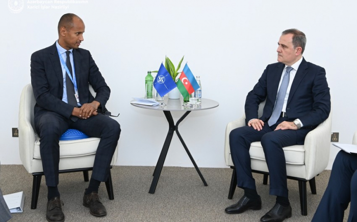  Azerbaijani FM meets with NATO assistant secretary general 