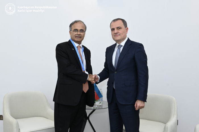 Azerbaijan, ECO discuss cooperation in combating climate change