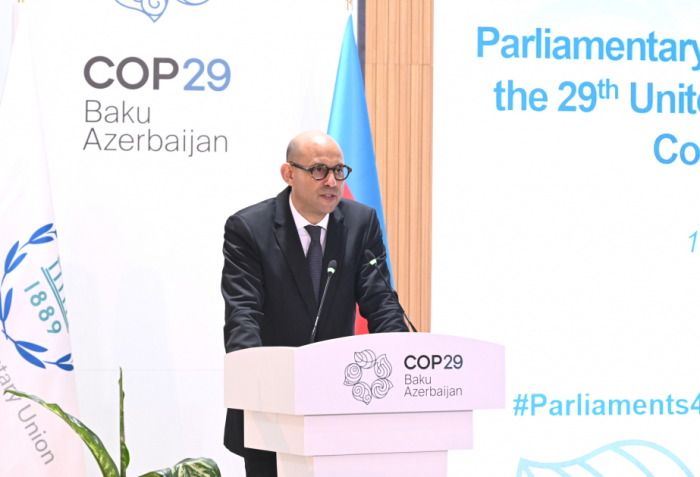   At COP29, UN climate chief urges G20 to make climate its priority  