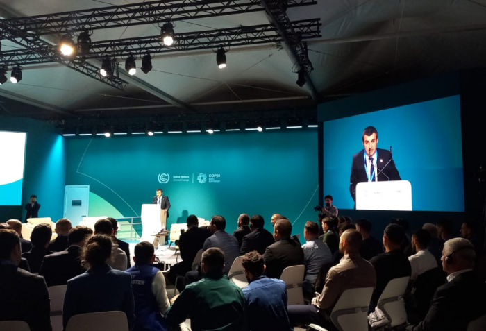 COP29: Football Clubs Alliance for Climate Initiative launched