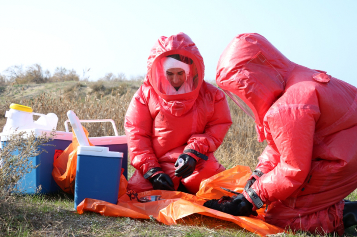  Azerbaijan achieves avian influenza-free status for poultry 