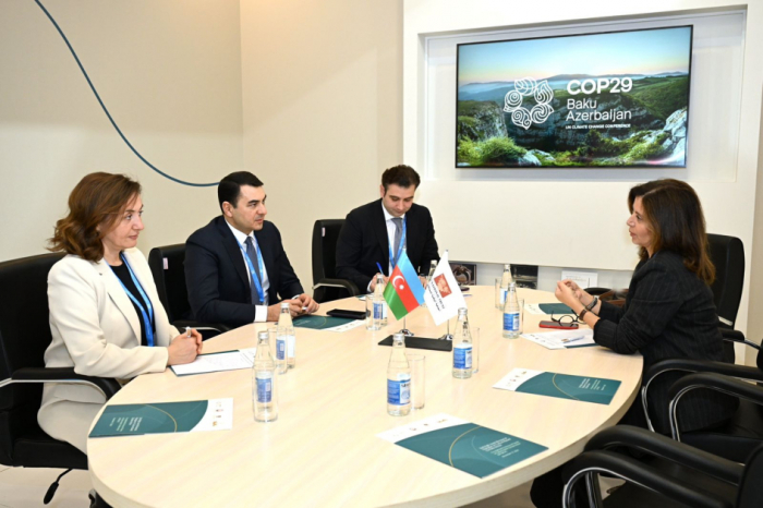 Azerbaijan’s Minister of Culture meets with Princess of Jordan on sidelines of COP29