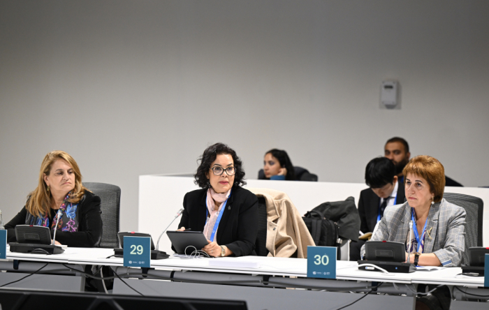 COP29 discusses “Science and Innovation for Low-Emission and Resilient Food Systems”