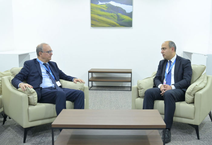 Azerbaijan, Italy explore prospects for educational cooperation